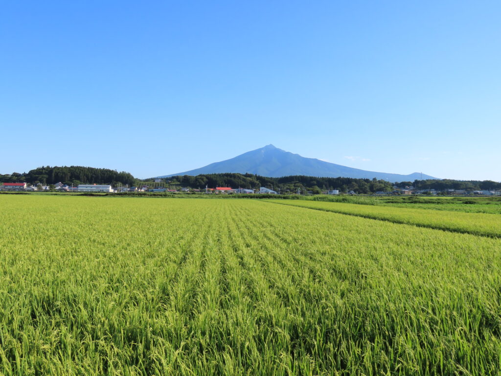 つがるさこいへ-つがる市移住支援