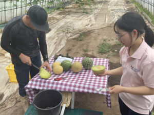 つがるさこいへ－つがる市移住支援