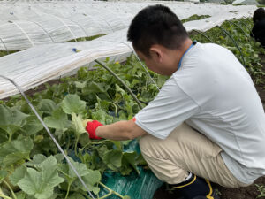 つがるさこいへ－つがる市移住支援